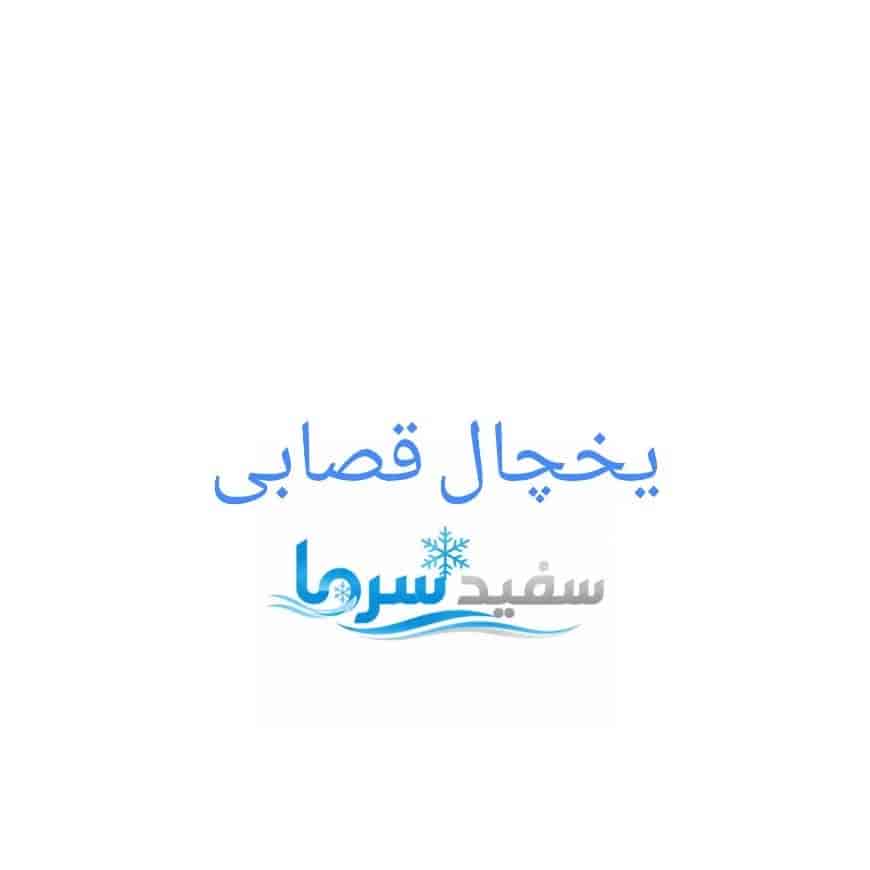 یخچال قصابی